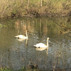 Meet your Posher, Fanny